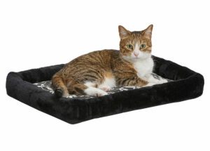 bolster cat bed