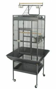Large cockatiel cage for multiple birds