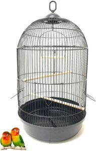 best canary cage