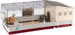 mini lop bunny cage