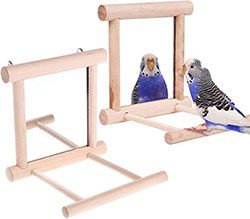 best parrotlet cages