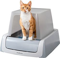 Self cleaning litter box