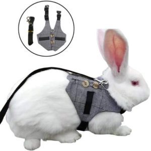 pet rabbit chest harness
