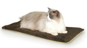Cat thermo-pad