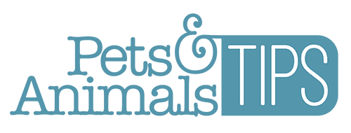 Pets & Animals Tips Logo