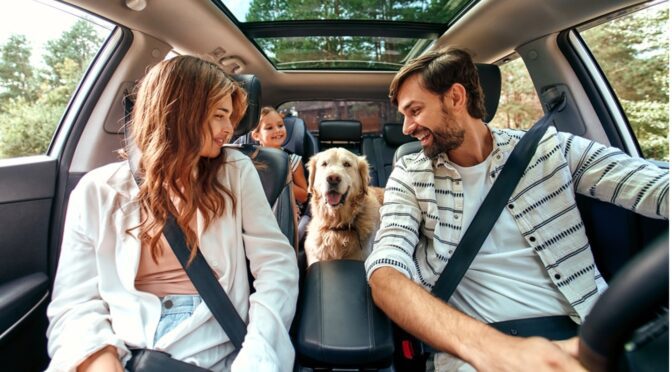 car travel with pets