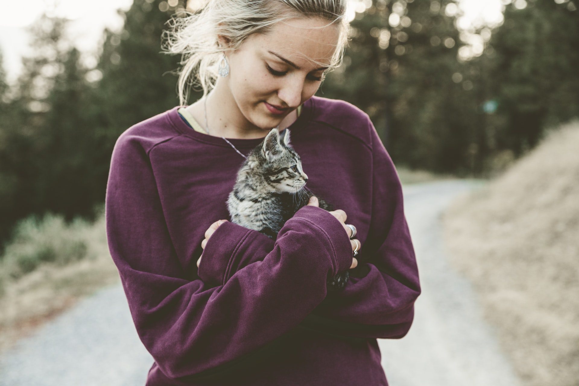 Cuddle with Your Cat There's Benefits Pets and Animals Tips
