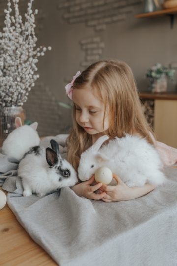 best chew toys rabbits