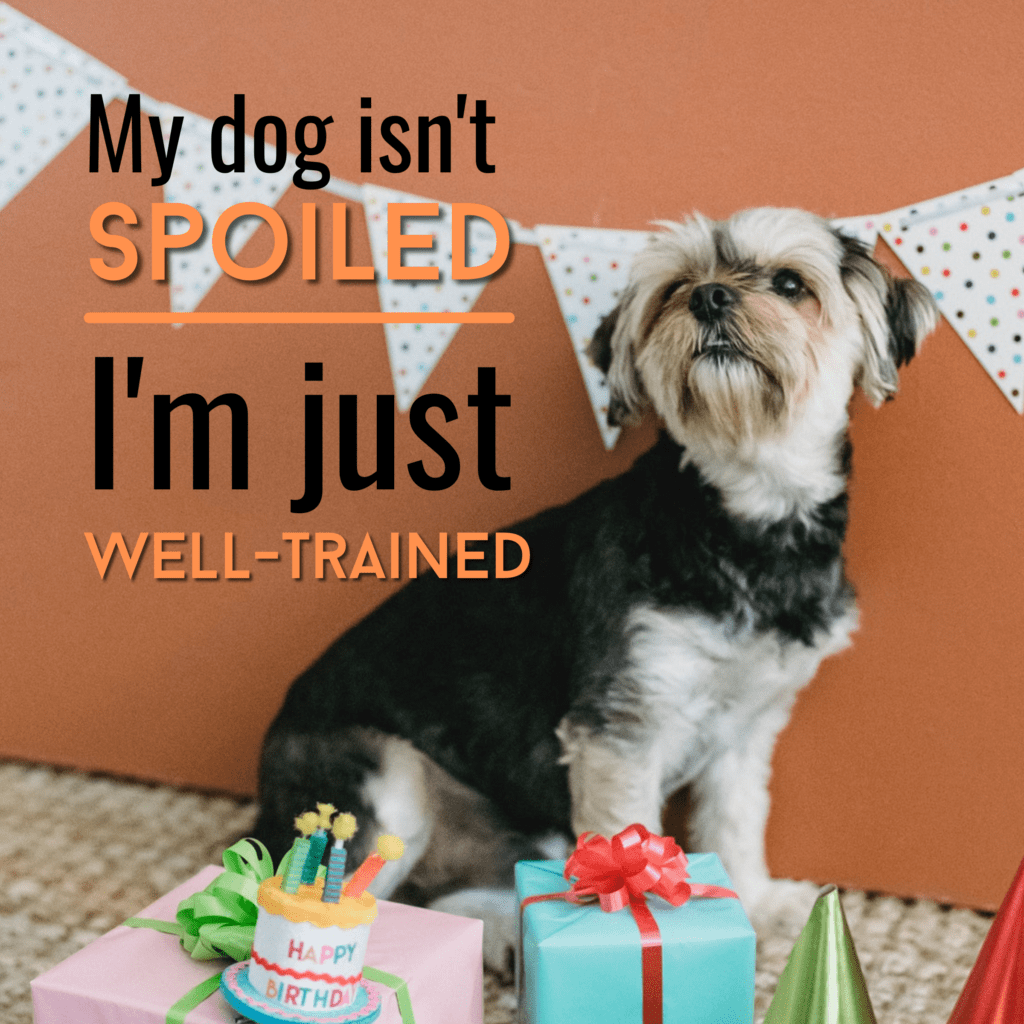My dog isn’t spoiled, I'm just well trained