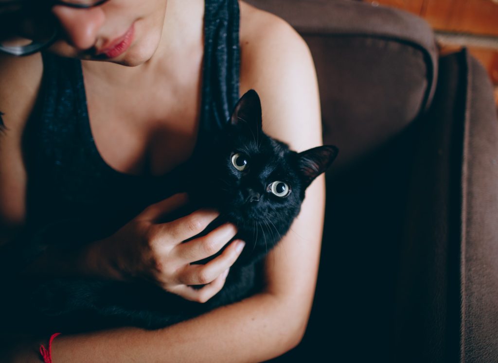 Holding a Black Cat