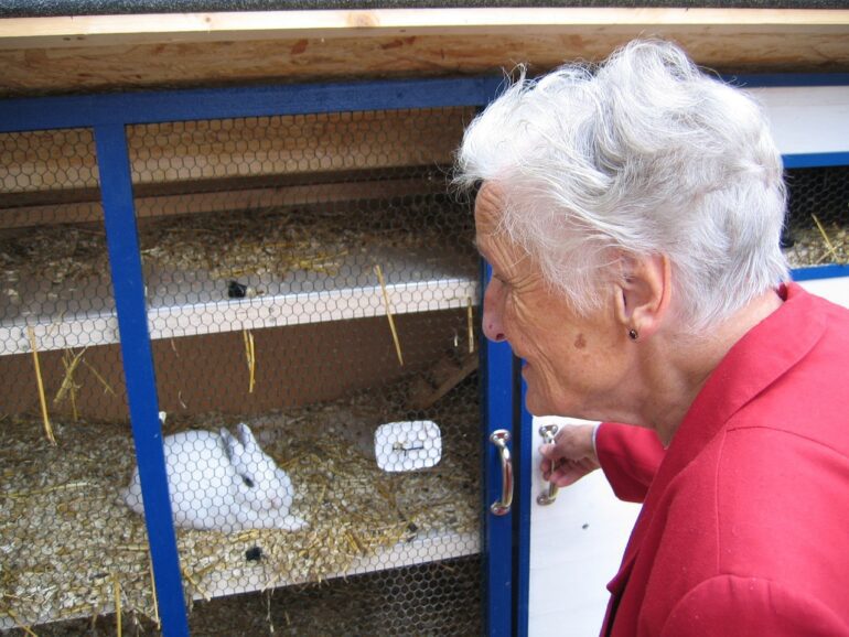 homemade rabbit hutch